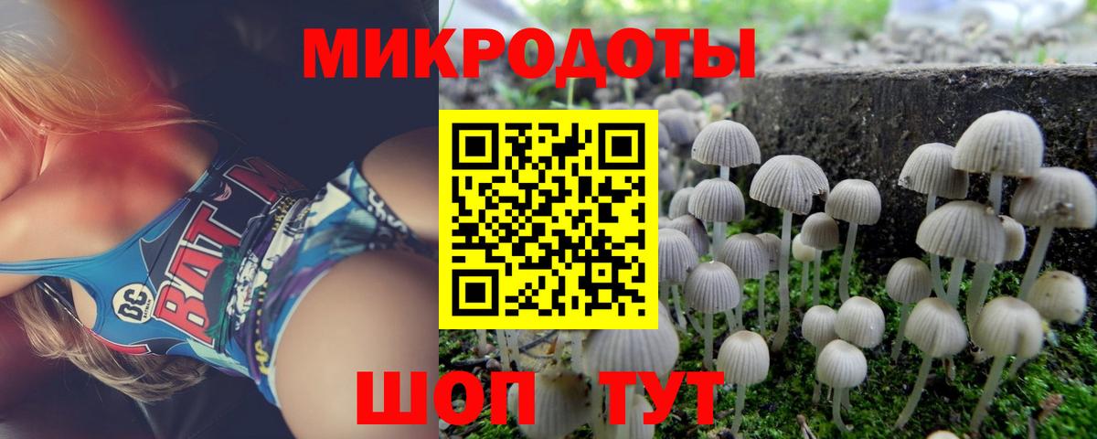 Псилоцибиновые грибы Cubensis Зеленокумск
